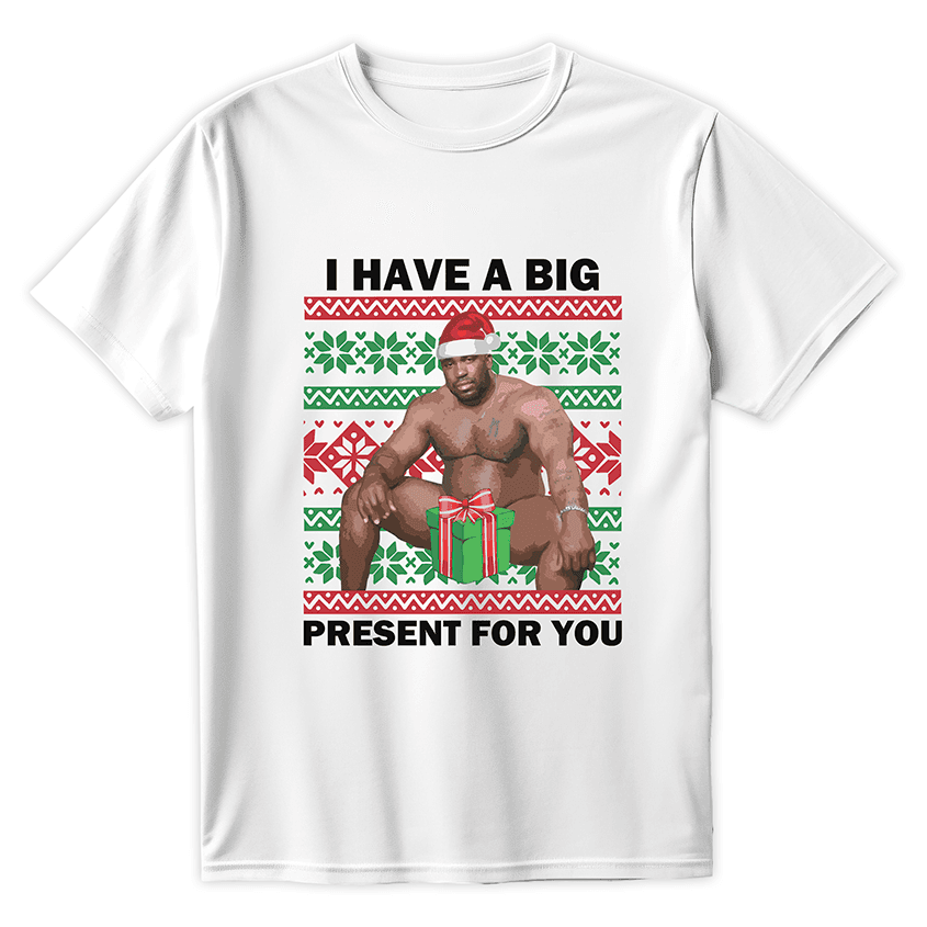 T-shirt I HAVE A BIG PRESENT FOR YOU - Best Shirts