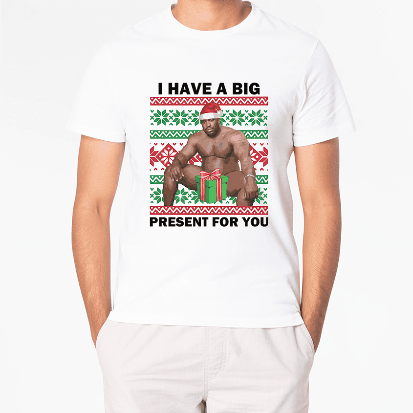 T-shirt I HAVE A BIG PRESENT FOR YOU - Best Shirts