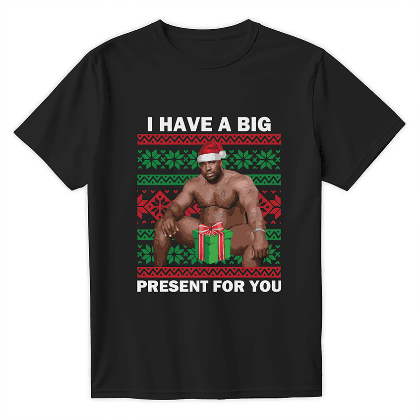 T-shirt I HAVE A BIG PRESENT FOR YOU - Best Shirts